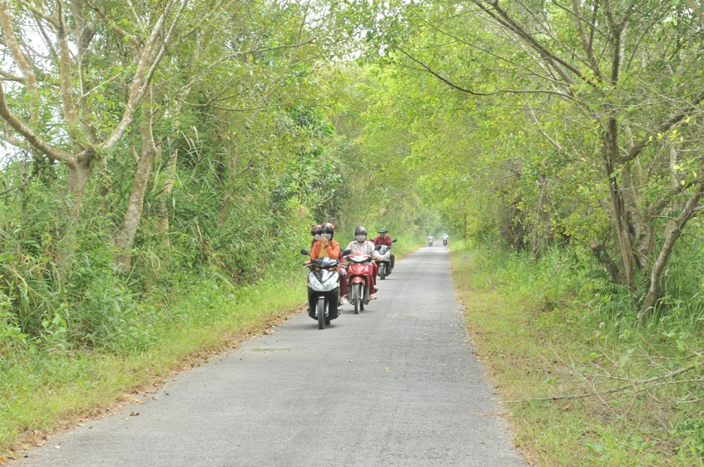 Khám phá bức tranh thuỷ mạc nơi Vườn Quốc gia U Minh Thượng - 2 Vẻ đẹp hút hồn của con đường dẫn vào Vườn Quốc gia U Minh Thượng