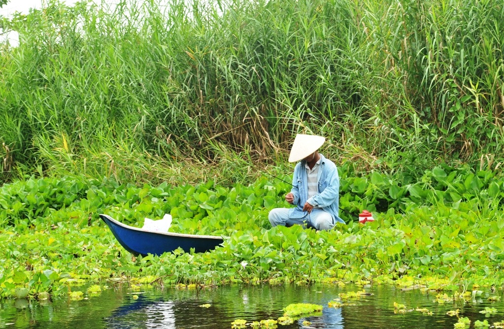 Khám phá bức tranh thuỷ mạc nơi Vườn Quốc gia U Minh Thượng - 6 Một du khách câu cá lọt thỏm giữa không gian xanh mát ...