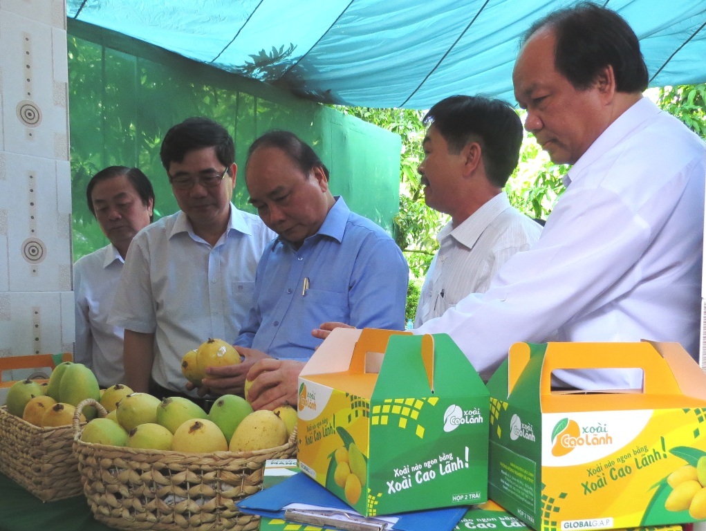Thủ tướng đánh giá cao Đề án Tái cơ cấu nông nghiệp của Đồng Tháp - 1 Thủ tướng Nguyễn Xuân Phúc đánh giá rất cao sự nỗ lực của Đồng Tháp trong việc thực hiện Đề án Tái cơ cấu ngành nông nghiệp (ảnh: Như Ý)