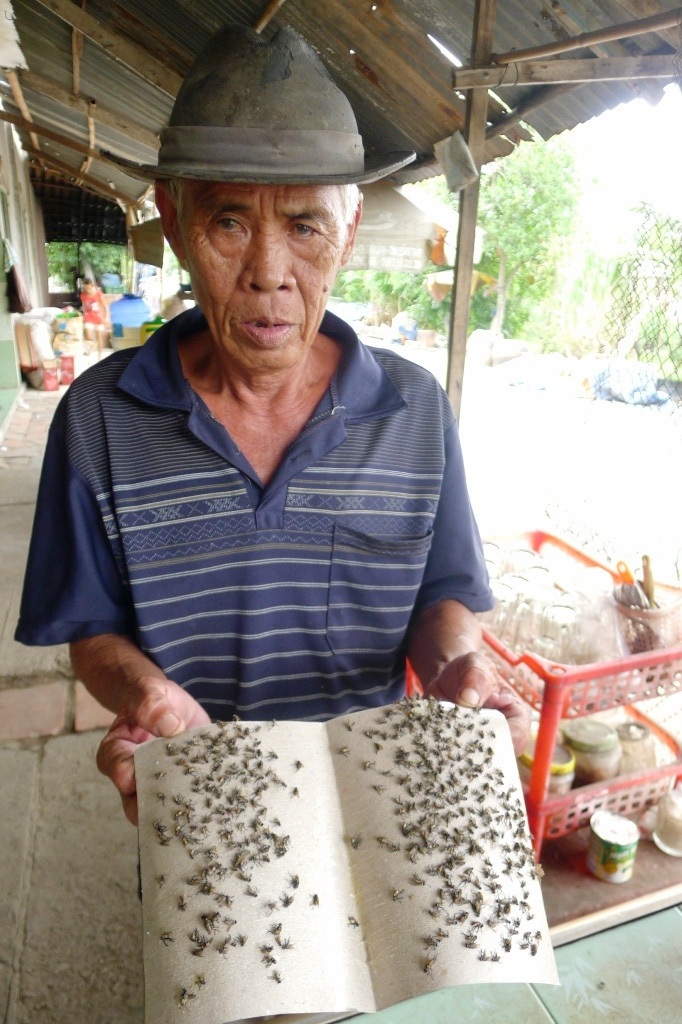 Ăn cùng ruồi, ngủ cùng... mùi hôi thối! - 2 Ông Lê Văn Lang căm ghét đám ruồi đeo bám.