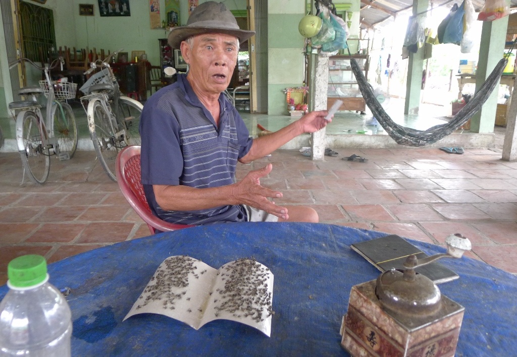 Ăn cùng ruồi, ngủ cùng... mùi hôi thối! - 6
Mong chờ một bữa cơm không bị ruồi phá đám.