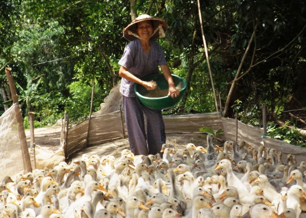 Bà Năm Thiền dù tuổi gần 70 nhưng vẫn cần mẫn lao động. Nhiều năm qua bà nuôi hàng nghìn con vịt để bán, lấy tiền cất nhà cho người nghèo.