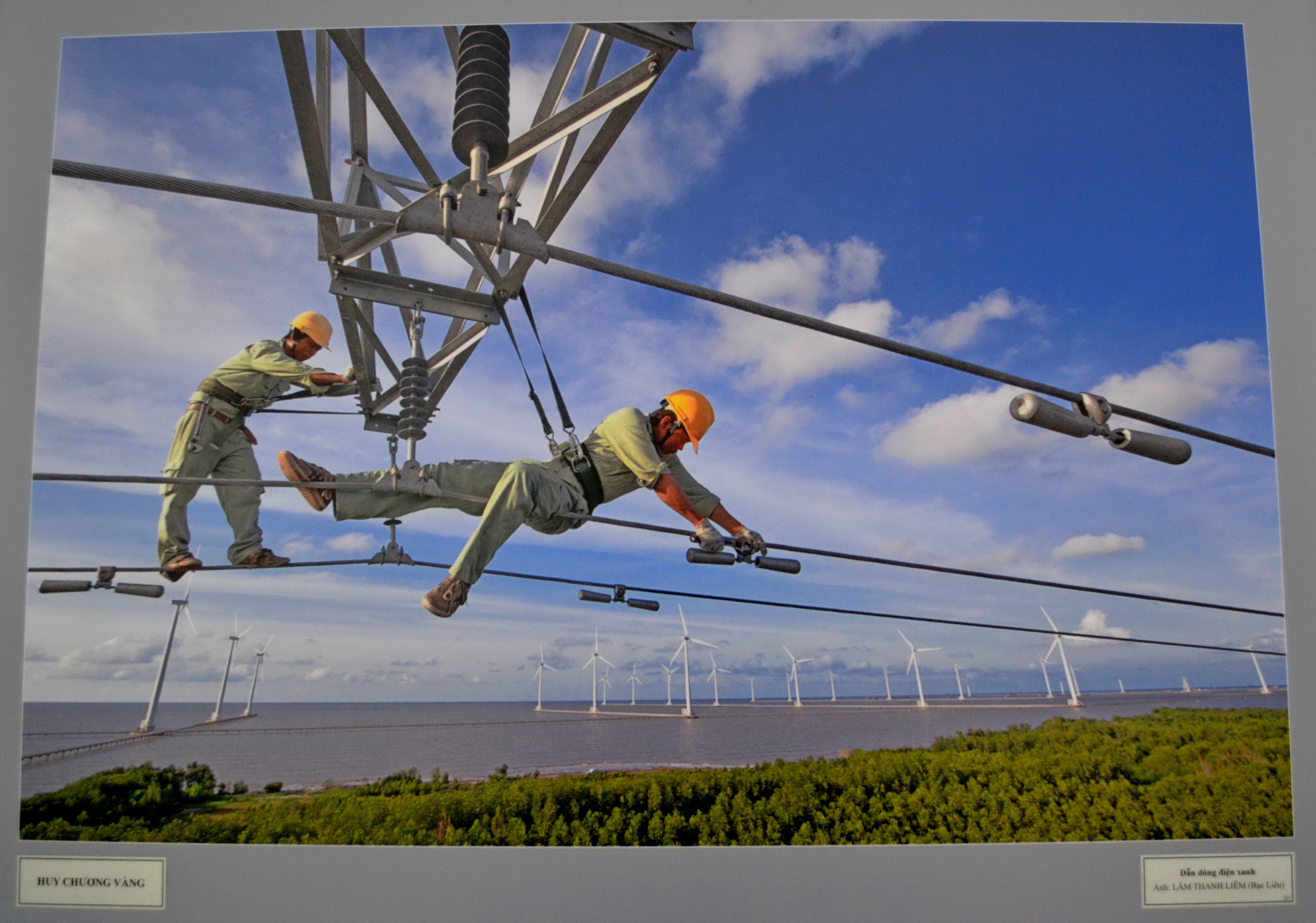 Tác phẩm: Dẫn dòng điện xanh của tác giả Lâm Thanh Liêm (Bạc Liêu) đã giành Huy Chương vàng ở chủ đề Khám phá Đất phương Nam
