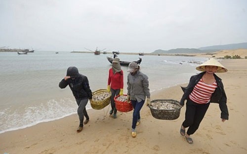 Triển khai bồi thường thiệt hại vụ Formosa đầu độc biển - 1 Các tỉnh được lùi thời hạn thống kê thiệt hại đến 15/9.