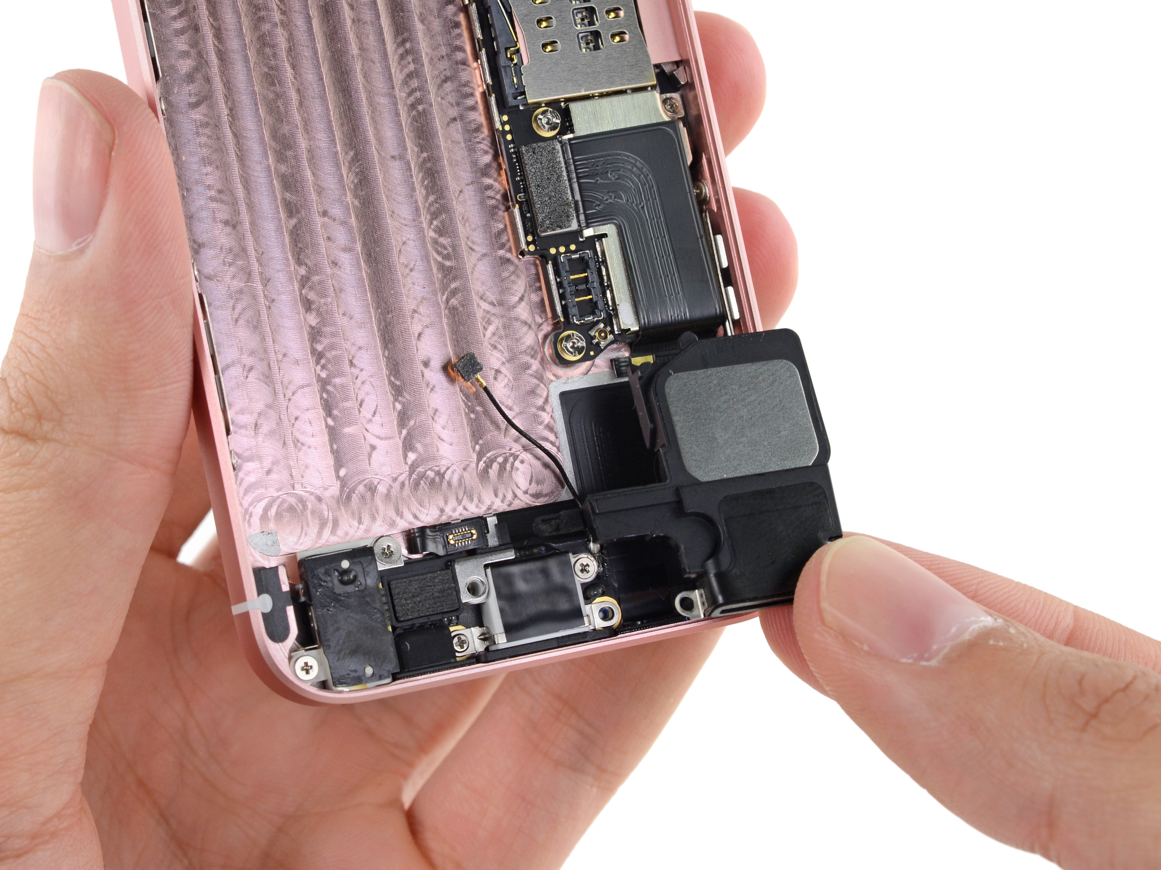 "Mổ xẻ" khám phá bên trong iPhone SE - 11 Tháo loa ngoài