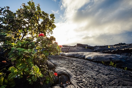 Bí mật lãng mạn đằng sau bức ảnh “Nụ hôn dung nham” - 2