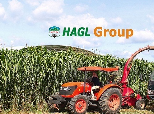 Bầu Đức bác tin đồn hủy niêm yết trong bối cảnh giá cổ phiếu lao dốc - 1 Cổ phiếu HNG của HAGL Agrico được niêm yết trên HSX kể từ tháng 7/2015
