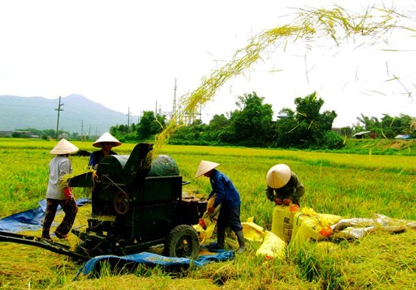 Dự kiến chi trên 193.000 tỷ đồng xây dựng nông thôn mới - 1 Nguồn lực xây dựng nông thôn mới chủ yếu đến từ ngân sách địa phương