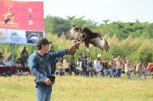 Khi "thú cưng" là chim săn mồi: Nghề chơi cũng lắm công phu - 11 ...thời gian bay từ vị trí xuất phát đến tay của chủ nhân sẽ quyết định thành tích của chú chim.