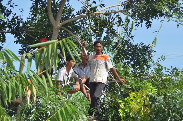 "Đi cả trăm cây để nhìn mặt mấy tên sát thủ giết 6 người" - 5
Không vào được bên trong, một số người còn trèo lên cây theo dõi từ xa.