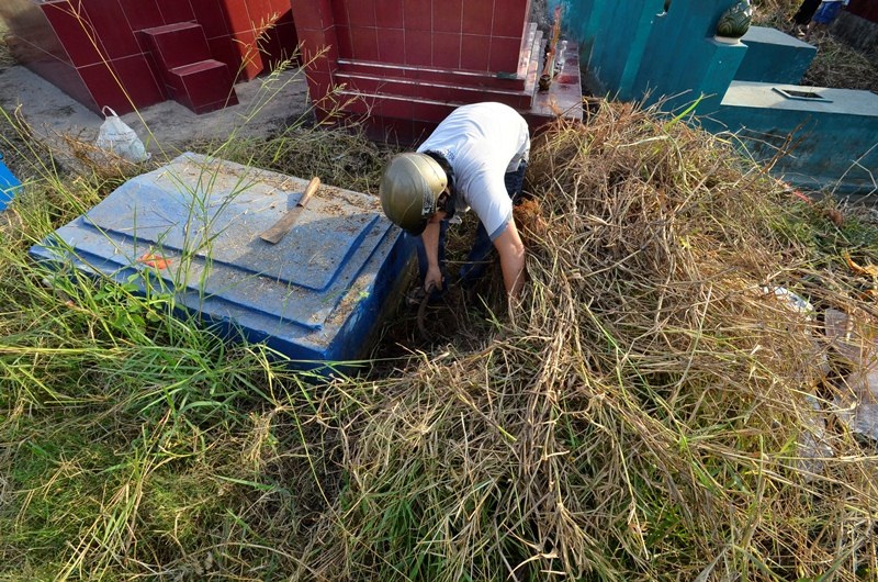 Phát quang bụi rậm.