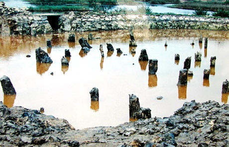 80 tỷ để bảo tồn Khu di tích lịch sử Chiến thắng Bạch Đằng - 1 Bãi cọc Bạch Đằng. Ảnh: TL.