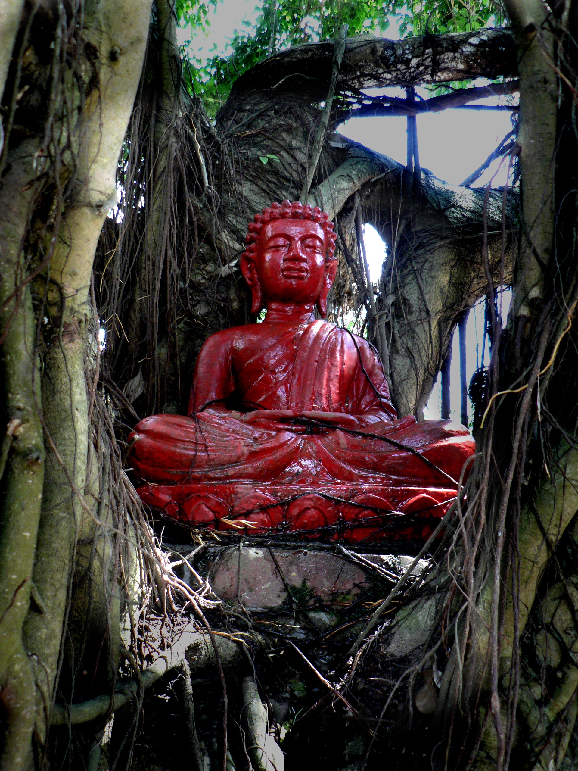 Tượng Phật cổ dưới gốc cây cổ thụ mang nét nghệ thuật tinh tế và cảm giác bình yên cho người chiêm ngưỡng.