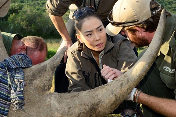 Thực hư việc Thu Minh được chọn là ngôi sao quốc tế tham gia Wild for life - 2 Thu Minh trong chiến dịch bảo vệ tê giác. Ảnh: TL.