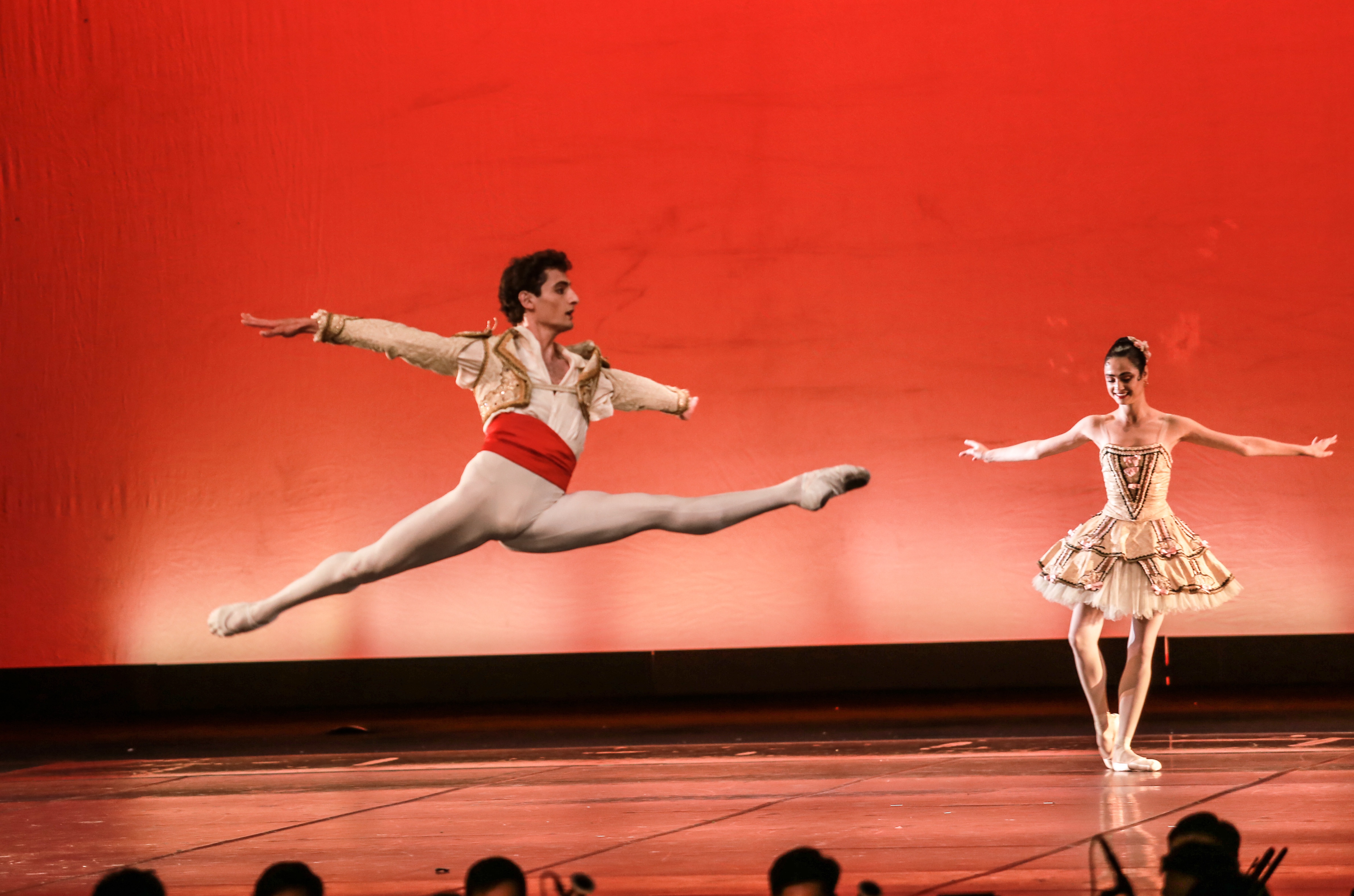 Các trích đoạn ballet như đưa khán giả Thủ đô chìm đắm trong muôn vàn cảm xúc.