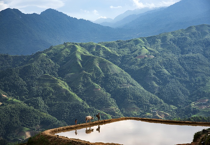 Ngỡ ngàng trước những cảnh đẹp như “cổ tích” của Việt Nam - 7 Ruộng bậc thang mùa dẫn nước - Bùi Hoả Tiễn.