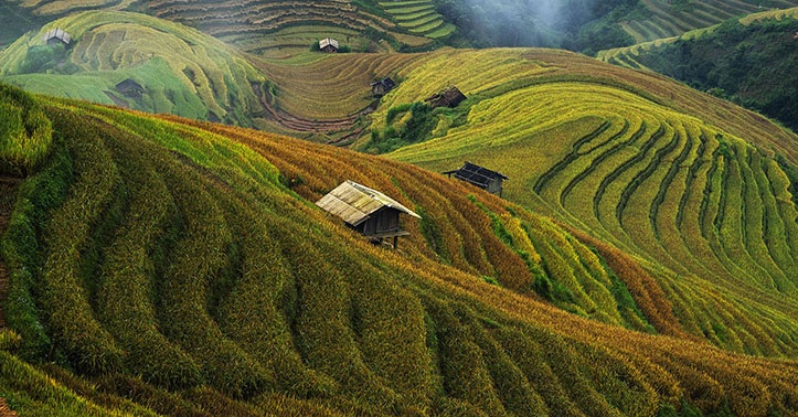 Ngỡ ngàng trước những cảnh đẹp như “cổ tích” của Việt Nam - 18 Ruộng bậc thang vùng cao - Hoàng Mạnh Cường.
