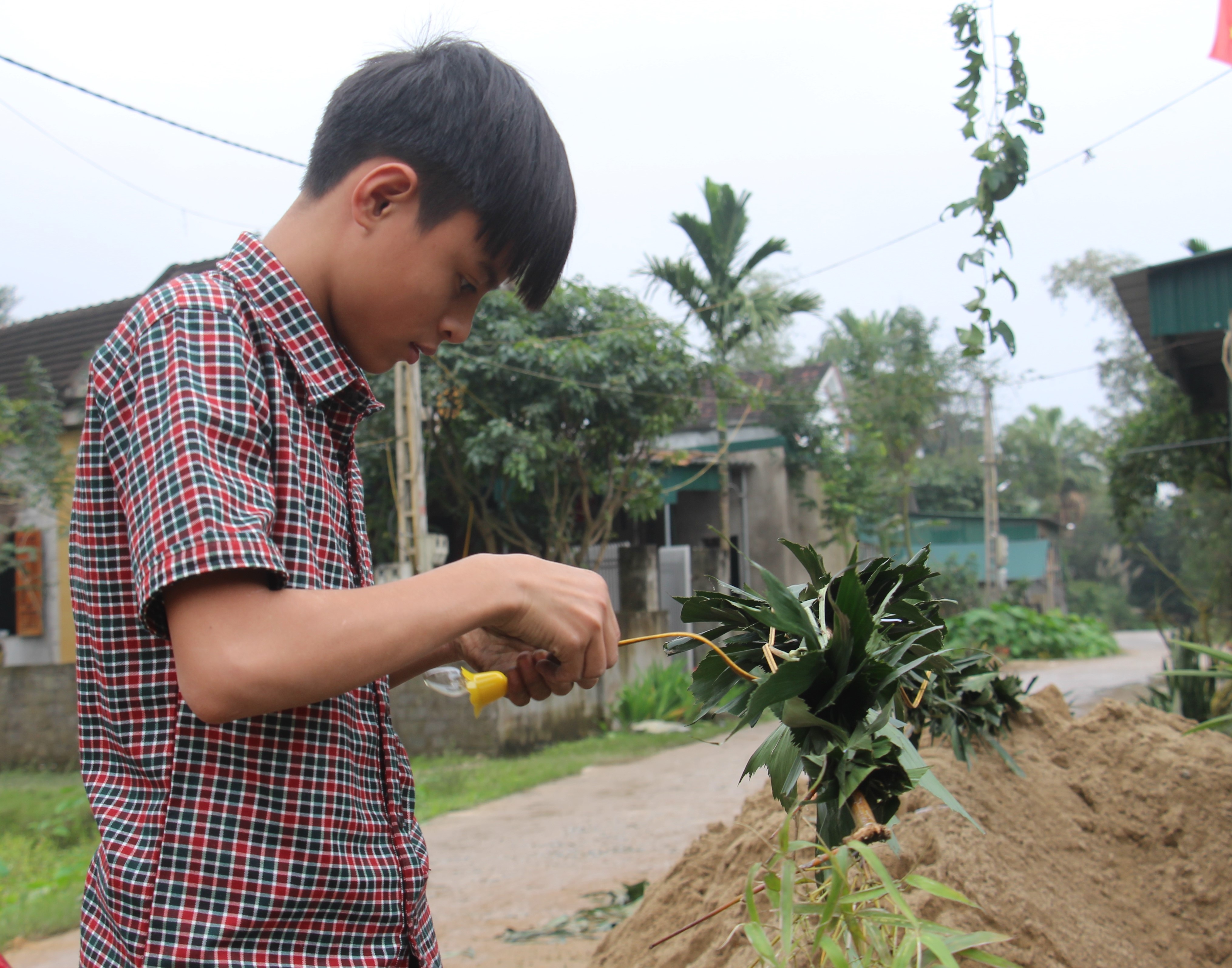 Lắp đèn màu cho cây nêu