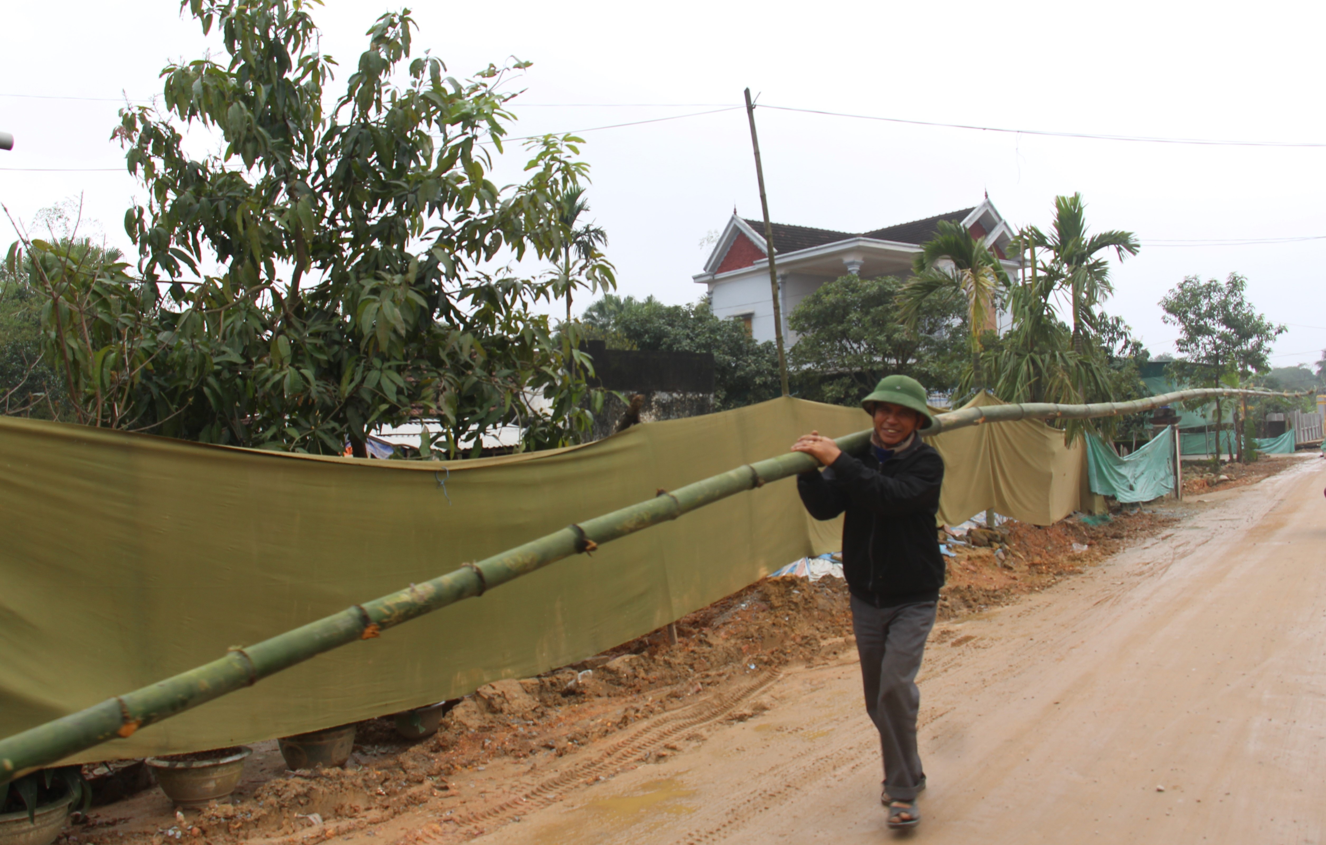 Cây tre là vật liệu không thể thiếu khi làm cây nêu