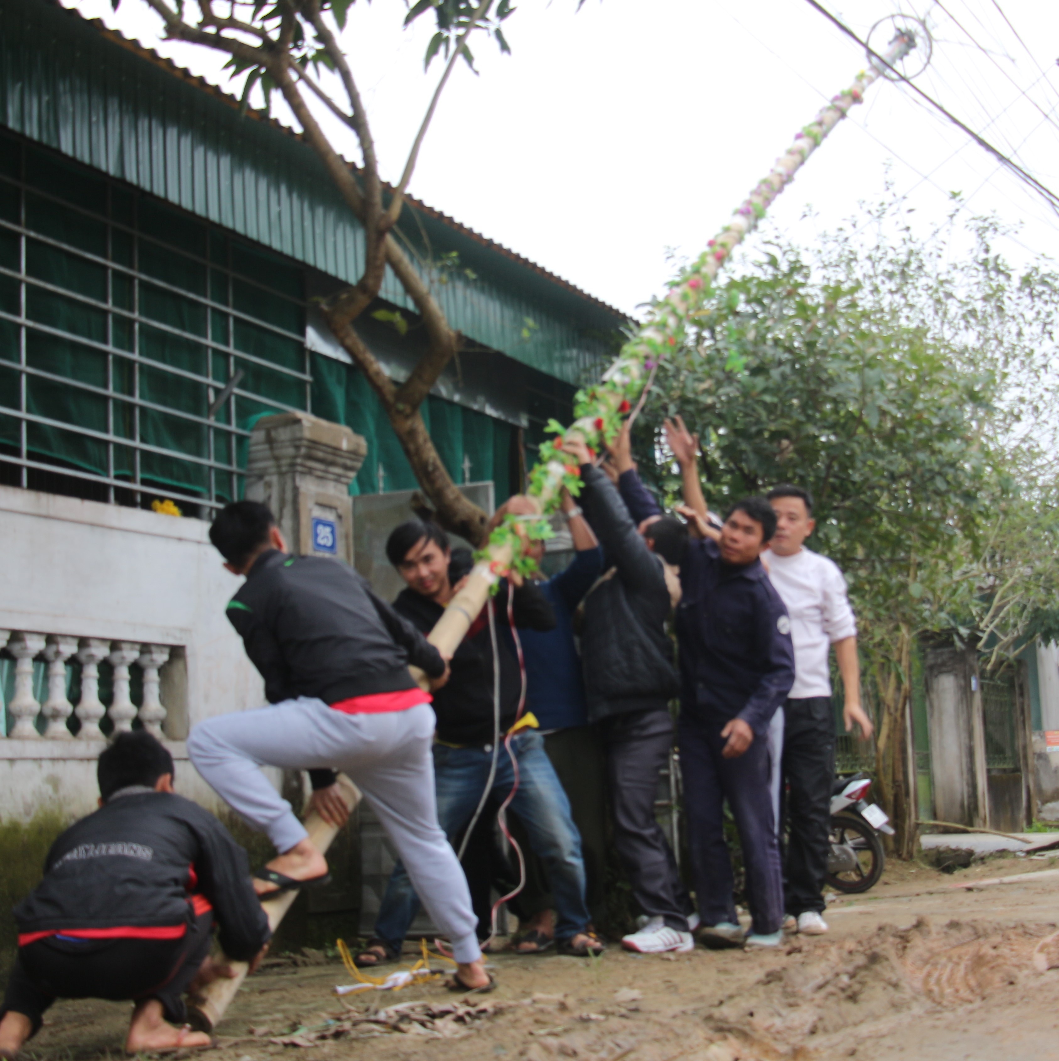 Để dựng cây nêu lớn cần rất nhiều thanh niên trai tráng trong làng