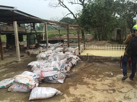 Hàng trăm hộ dân "lĩnh đủ" vì xưởng chế biến sắn của chủ tịch xã - 3 Một bể nước thải mùi hôi thối