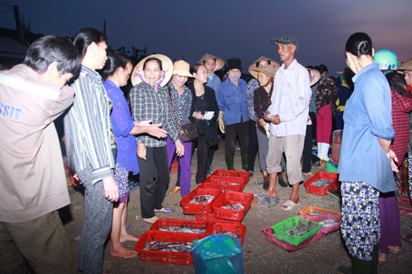 Chợ cá Thạch Kim hoạt động nhộn nhịp trở lại sau thời gian cá chết hàng loạt ở miền Trung.