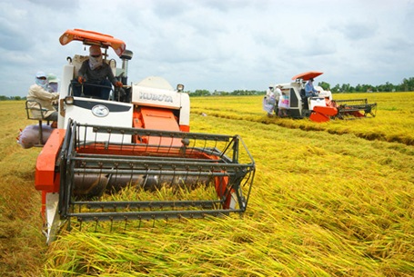 Hội Nông dân tỉnh biểu dương công an tóm gọn nhóm bảo kê tiền gặt lúa của nông dân - 2 Nông dân tại nhiều địa phương ở Hà Tĩnh từng chịu mức giá gặt lúa cao ngất ngưởng do nạn bảo kê, cò mồi.