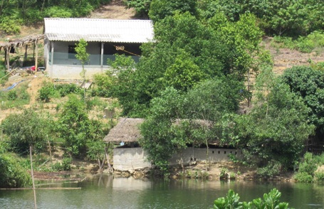Sở Tài nguyên - Môi trường kiểm tra đập nước có cá chết hàng loạt - 3 Một số hộ dân làm chuồng chăn nuôi ngay bên mép đập.
