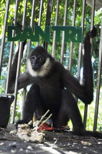 dsc0389-copy-1465924406079