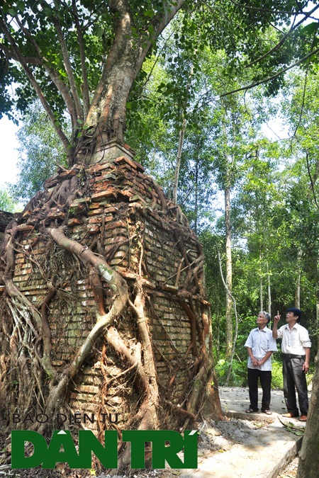 Kỳ bí cây bồ đề che chở am cổ hàng trăm năm tuổi - 1 Am cổ và cây bồ đề nhìn từ mặt sau của am.