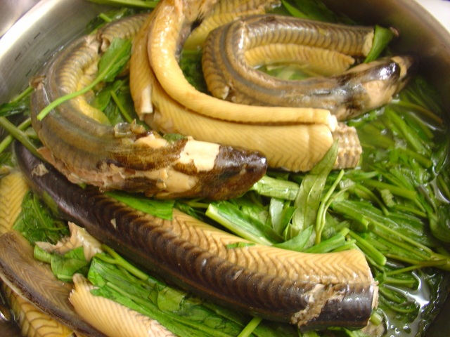 Ăn lươn “ngậm” thuốc tránh thai: Đối mặt với nguy cơ rối loạn nội tiết! - 1 Lươn là thực phẩm phổ biến trong bữa ăn hàng ngày của người Việt