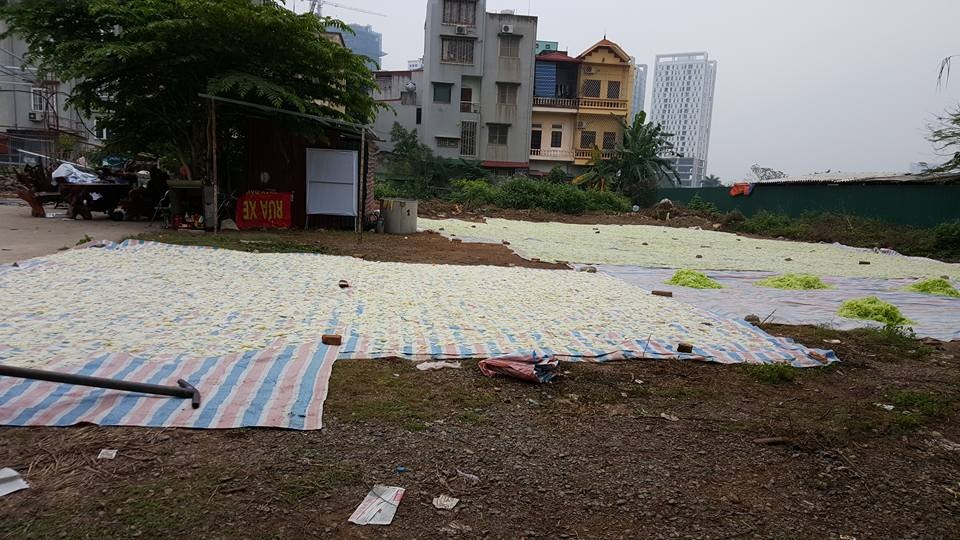 Vụ mứt bí phơi nền đất: Đã truy ra chủ hộ và tiêu huỷ toàn bộ 250kg phôi mứt - 1
Nguyên liệu mứt bí được phơi cẩu thả, chỉ cách nền đất 1 tấm bạt, ruồi nhặng, đất bụi phủ bẩn các phôi mứt bí này. Ảnh: H.Hải