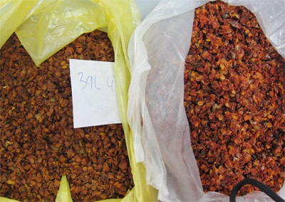 Tràn lan dược liệu nhập từ Trung Quốc - 1 Trước đây chi tử cũng là mặt hàng phát hiện nhiều mẫu không đạt chất lượng do nhuộm phẩm màu công nghiệp. Ảnh: H.Hải