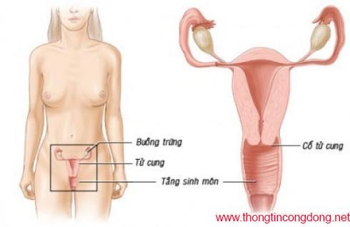 Viêm nhiễm phần phụ liên tục vì bơm thông vòi trứng? - 1 Viêm nhiễm phần phụ liên tục vì bơm thông vòi trứng? - 1