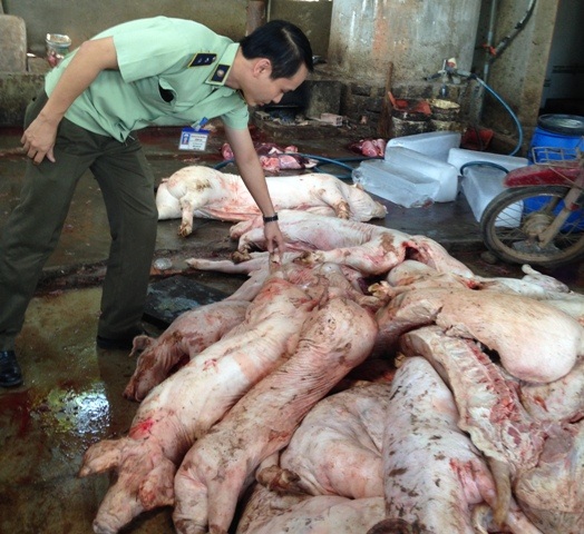 Lực lượng chức năng bắt quả tang 1 lò mổ heo lậu tại TP Biên Hòa, Đồng Nai