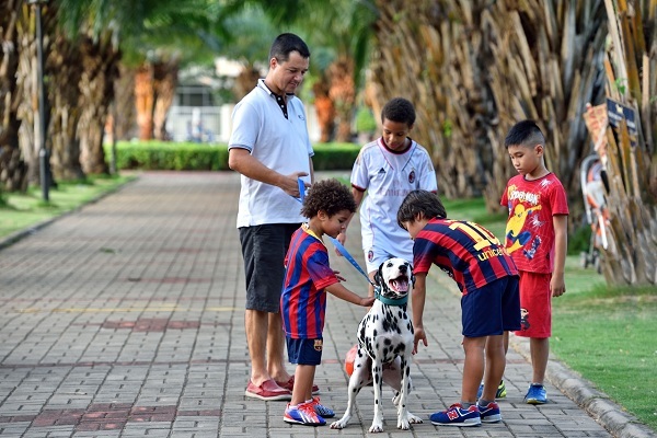 Khám phá đô thị đông người nước ngoài nhất ở Việt Nam - 2 Chất lượng môi trường sống đồng hộ giữa hạ tầng, môi trường, tiện ích, dịch vụ là điểm nhận diện của đô thị PMH. Ảnh Phạm Hữu Khánh