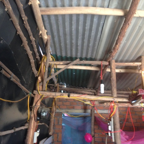 Căn nhà chắp vá tạm bợ từ thân cây đước, tôn và bạt nhựa