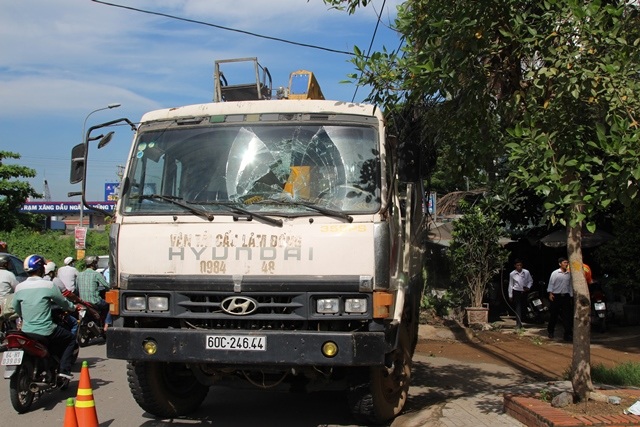 Xe cẩu BKS 60C-246.44 chỉ dừng lại sau khi tông gãy một trụ điện