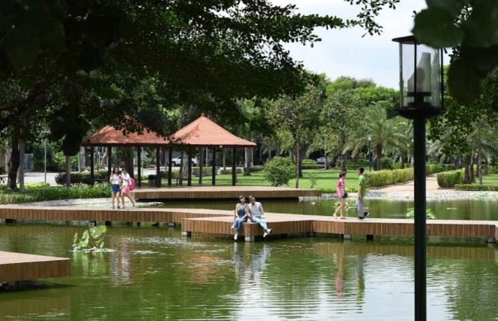 Các hồ tiểu cảnh được bố trí trong công viên tạo sự hài hòa giữa cây xanh, mặt nước, cảnh quan và diện tích mặt hồ ở công viên hiện gần 3.000m2.