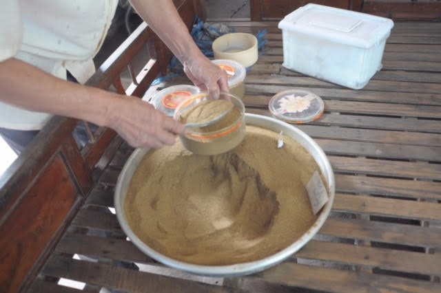Người thương binh hơn 30 năm chữa bệnh miễn phí ở Sài Gòn - 2 Ông lặn lội lên tận Tây Ninh, Bình Dương để đi tìm các loại cây thuốc nam chuyên chữa các bệnh bong gân, trật khớp, thoát vị đĩa đệm…về bào chế chữa cho người bệnh mà không lấy tiền.