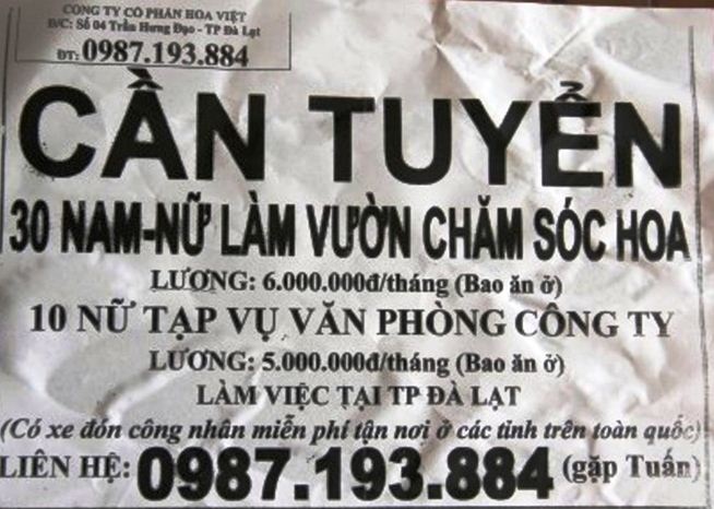 Tờ rơi tuyển dụng lao động của Công ty CP Hoa Việt