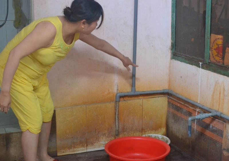 Hàng trăm hộ dân tại Đồng Nai kêu khổ vì Formosa - 3