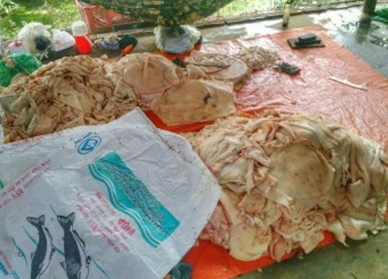 Vụ da heo tẩm hoá chất độc hại: Đình chỉ cơ sở chế biến 5 tháng hoạt động - 1