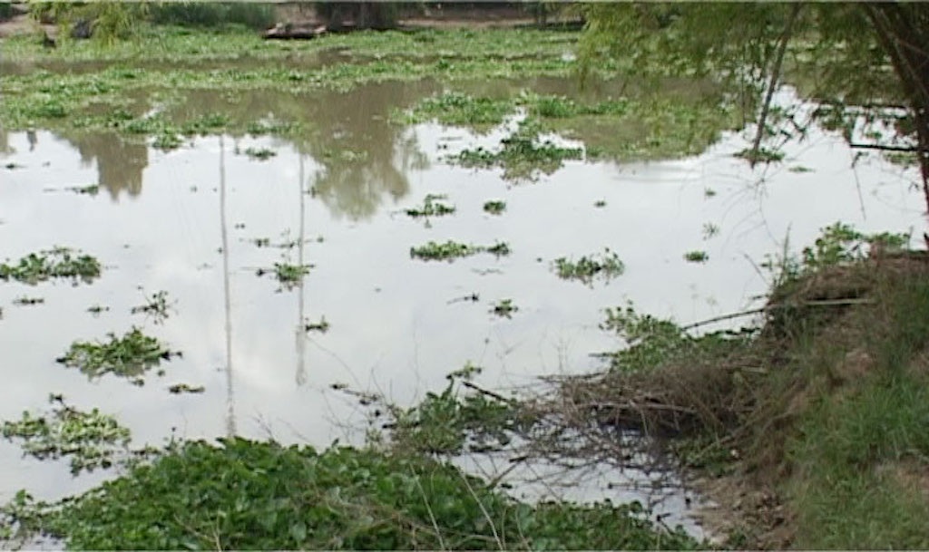 Máy chân vịt chém chết người trên sông - 1 Hiện trường vụ tai nạn khiến anh Toàn tử vong