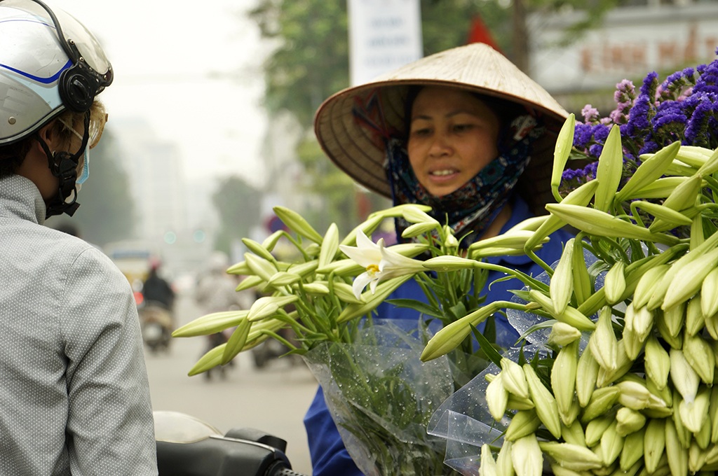 
Hoa loa kèn luôn là lựa chọn được ưu tiên hàng đầu của khách hàng vào mỗi dịp tháng Tư.
