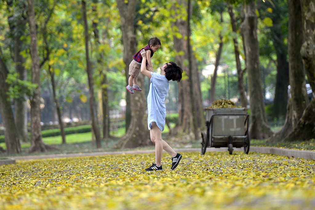 
Hai mẹ con đùa vui trên thảm lá rụng trong công viên Bách Thảo, Hà Nội.
