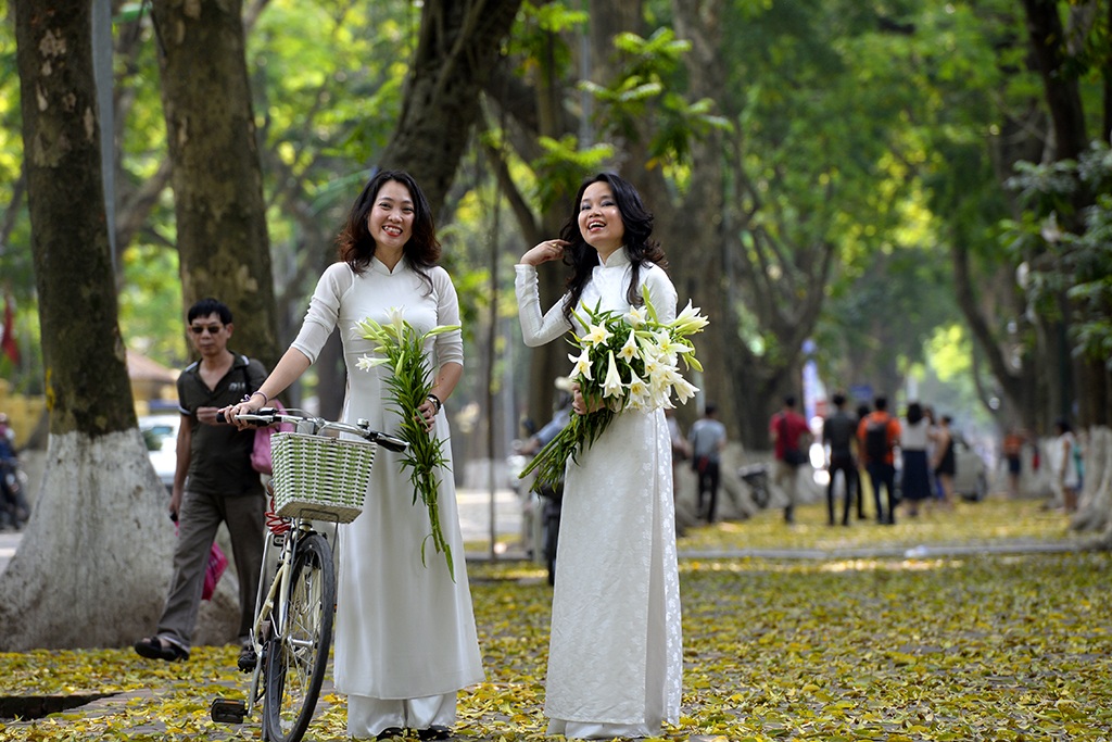 
Những tà áo dài trên thảm lá vàng trên hè phố.
