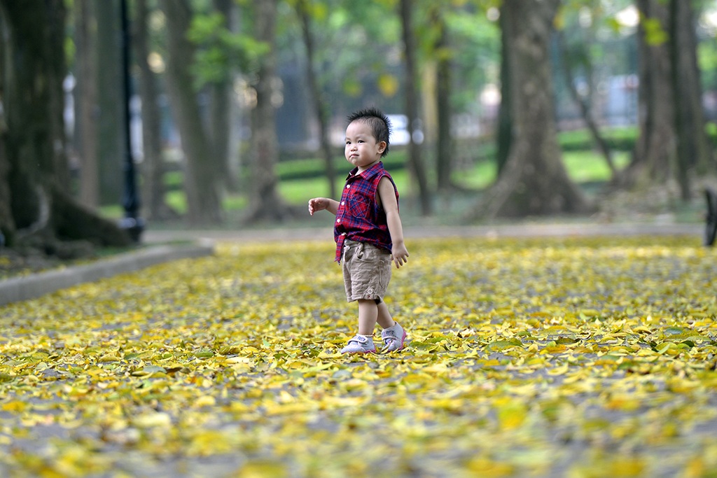 
Bé gái 2 tuổi thích thú khi những âm thanh từ lá khô xào xạc được tạo nên sau mỗi bước đi của mình.
