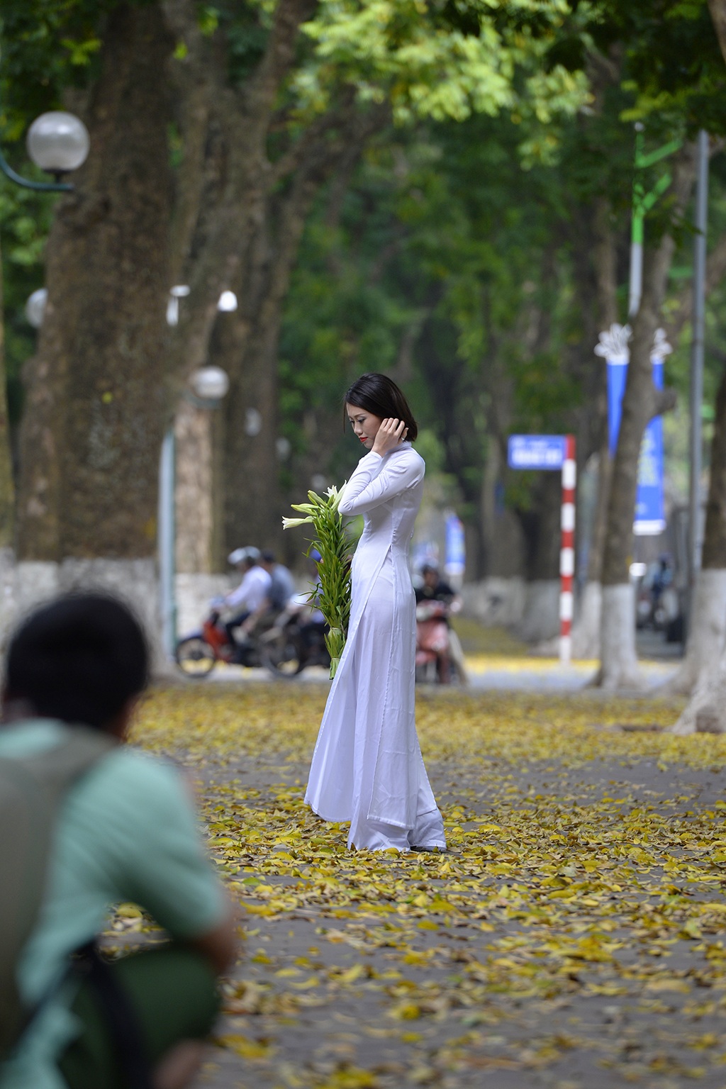 
Lá sâu rụng chỉ kéo dài trong một vài tuần. Thời điểm tốt nhất để chụp hình là buổi chiều, khi có ánh nắng xuyên qua tán lá.
