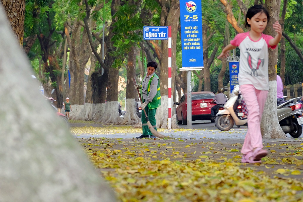 Thiếu nữ thả dáng cuốn hút trên thảm lá vàng ươm - 16